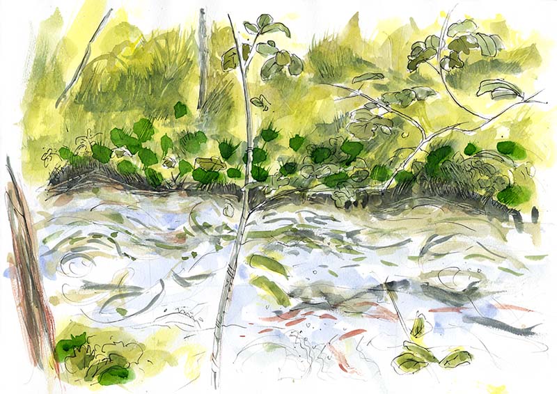 SOUTH COLONY CREEK ON THE NEIGHBORS PROPERTY SOUTH COLONY CREEK ON THE NEIGHBORS PROPERTY