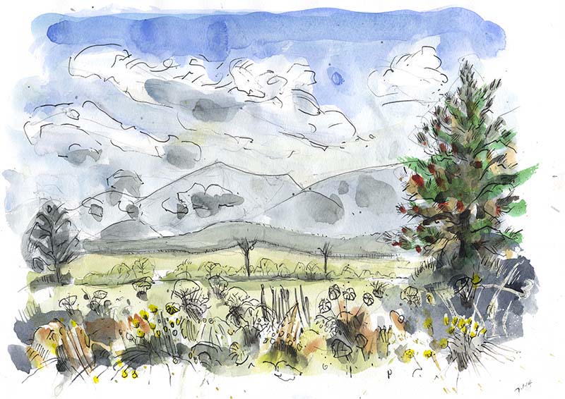 SOUTH PRARIE WITH MARBLE MOUNTAIN SOUTH PRARIE WITH MARBLE MOUNTAIN