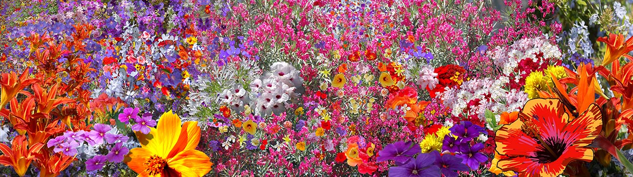 flower tapestry, enamel on metal, 27.25 x 99.25in