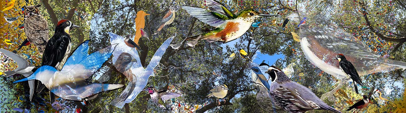 santa monica mountain birds, enamel on metal, 27.25 x 99.25in 