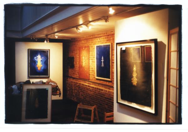 Installation view.