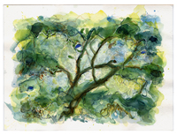 TOPANGA OAKS 12, watercolor on paper, 9in by 13in, 2008