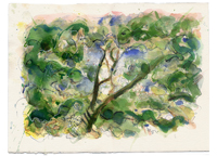 TOPANGA OAKS 14, watercolor on paper, 11in by 15in, 2008