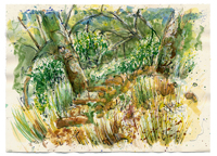 TOPANGA OAKS 3, watercolor on paper, 6.5in by 30in, 2008