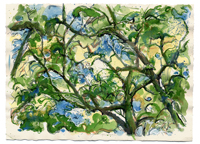 TOPANGA OAKS 7, watercolor on paper, 11.125in by 15.125in, 2008