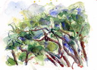 TOPANGA OAKS 8, watercolor on paper, 9in by 13in, 2008